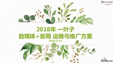 一叶子自媒体+官网运维方案