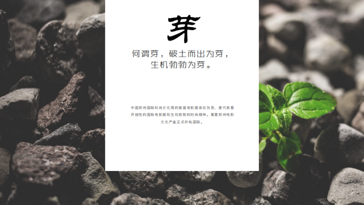 中国郑州国际时尚文化周芽电影展_第2页