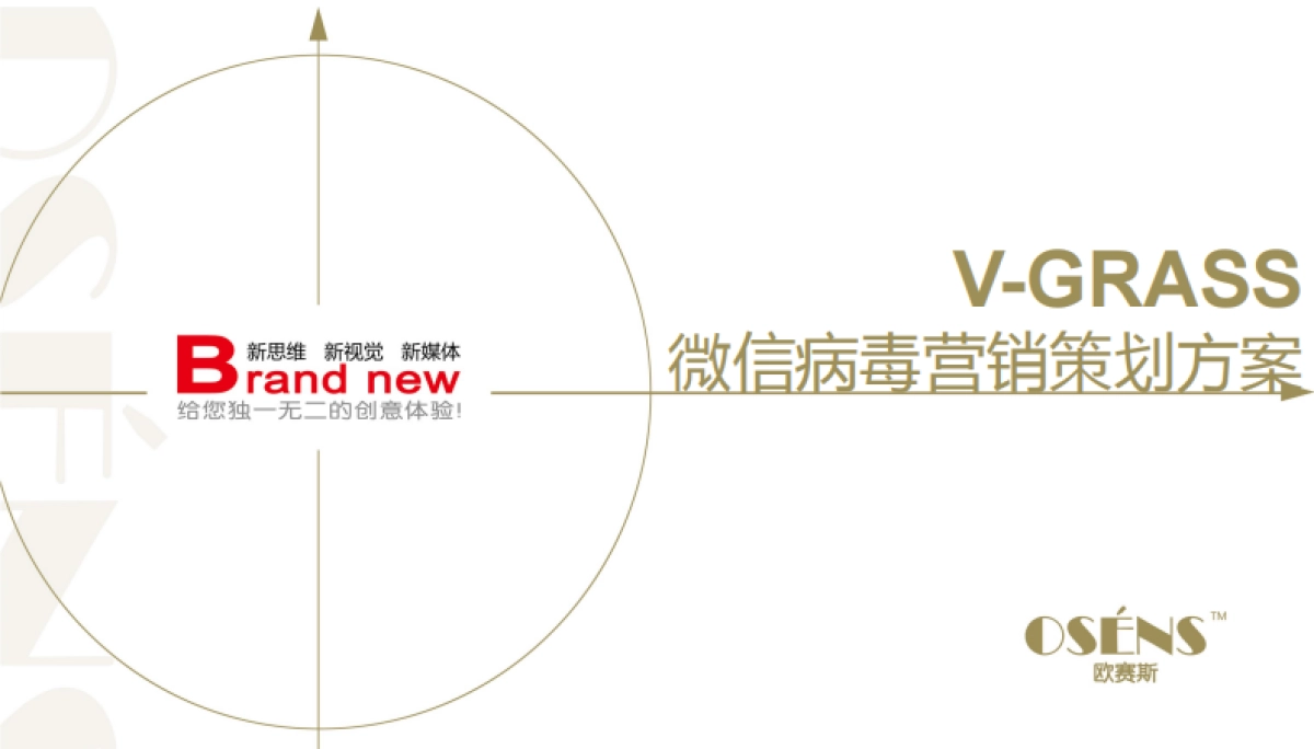 欧赛斯VGrass高端女性时装品牌微信病毒营销策划方案_第1页
