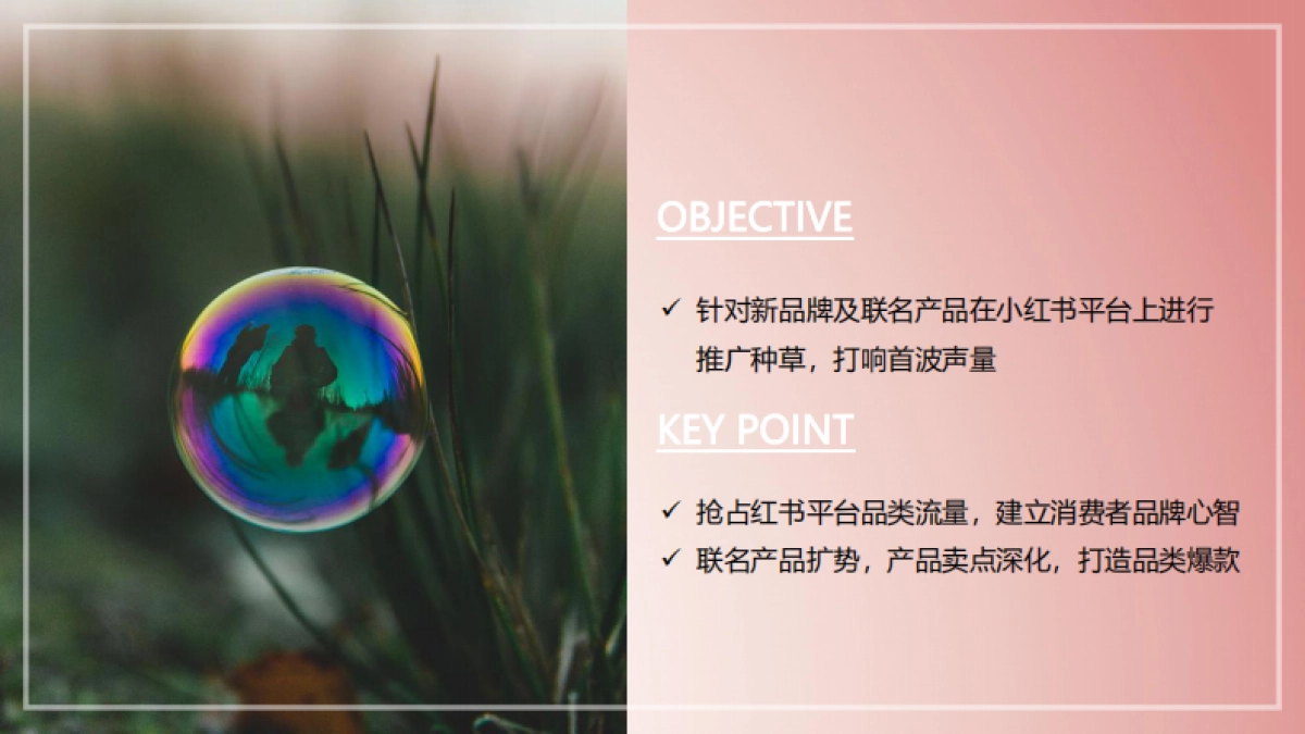 泡泡因子小红书种草营销方案_第2页