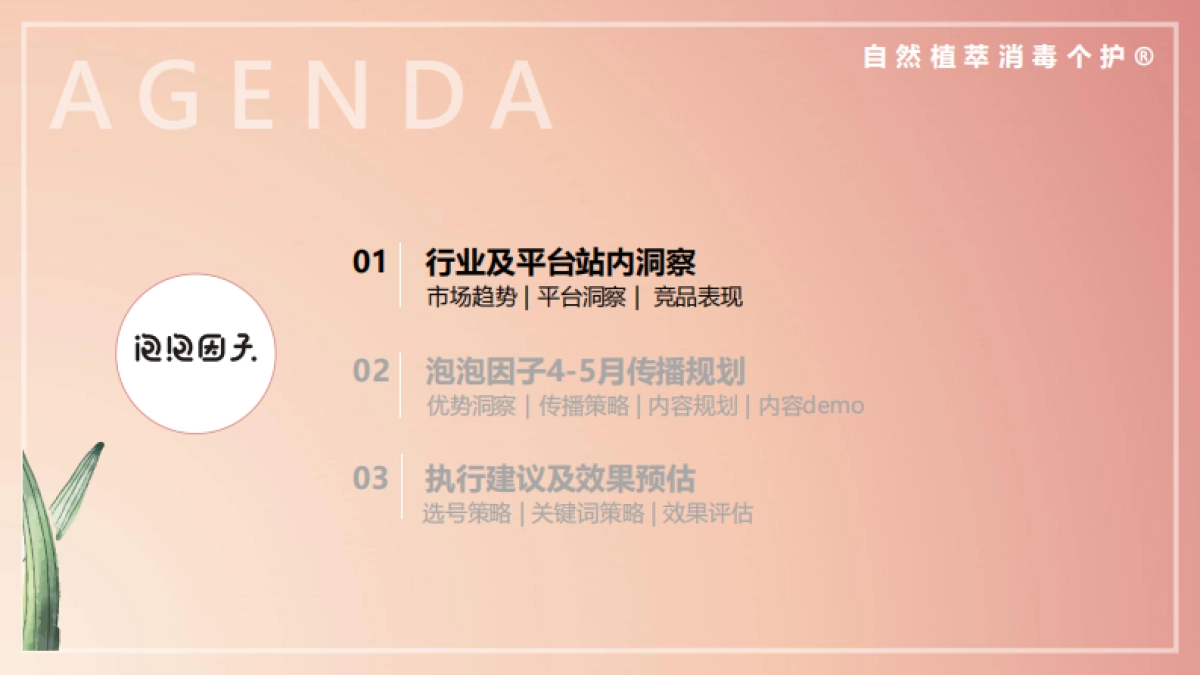 泡泡因子小红书种草营销方案_第3页