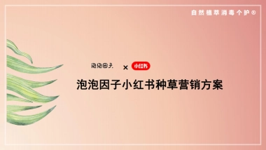 泡泡因子小红书种草营销方案