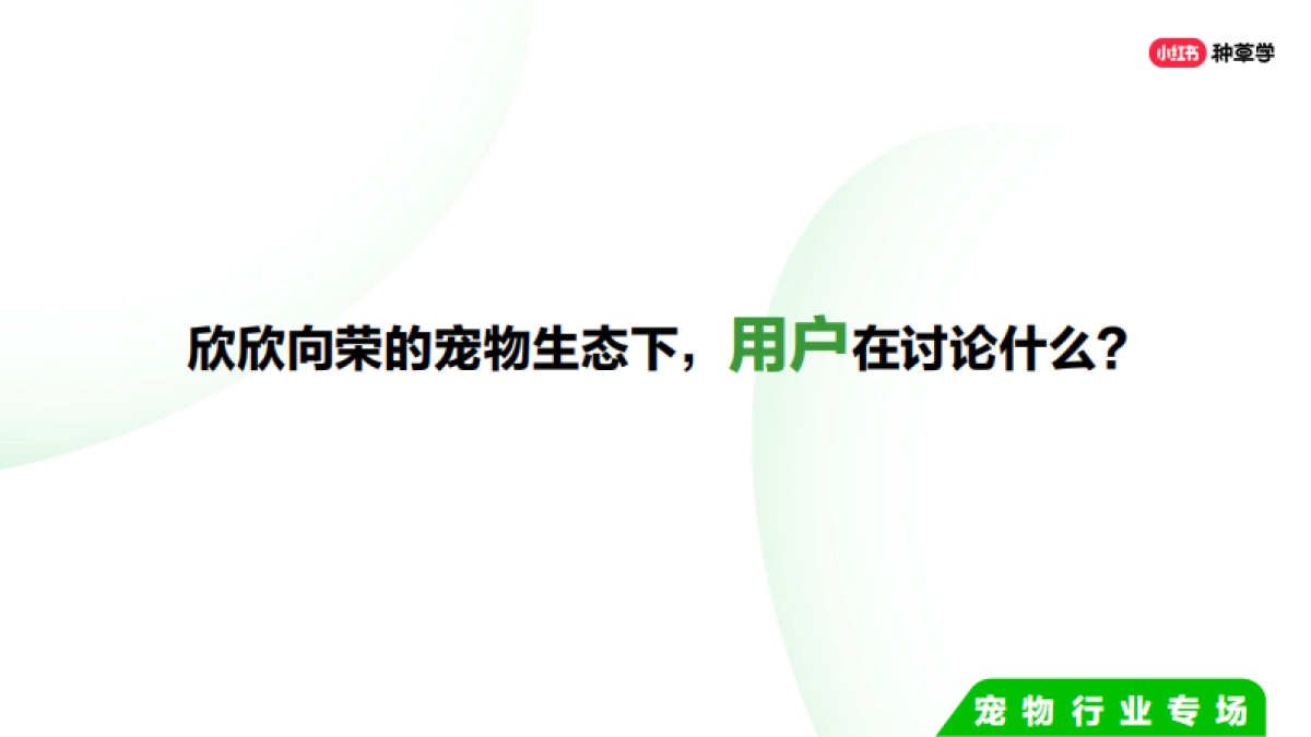 双11种草学习季-宠物行业场_第6页