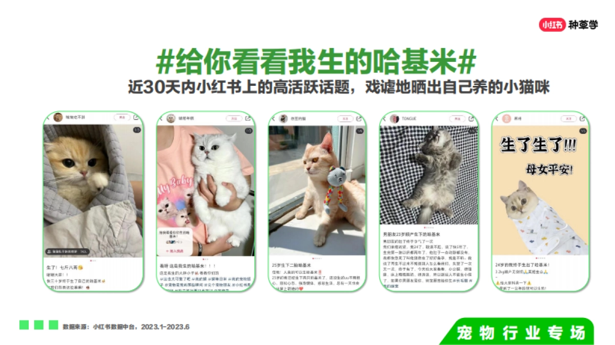 双11种草学习季-宠物行业场_第7页