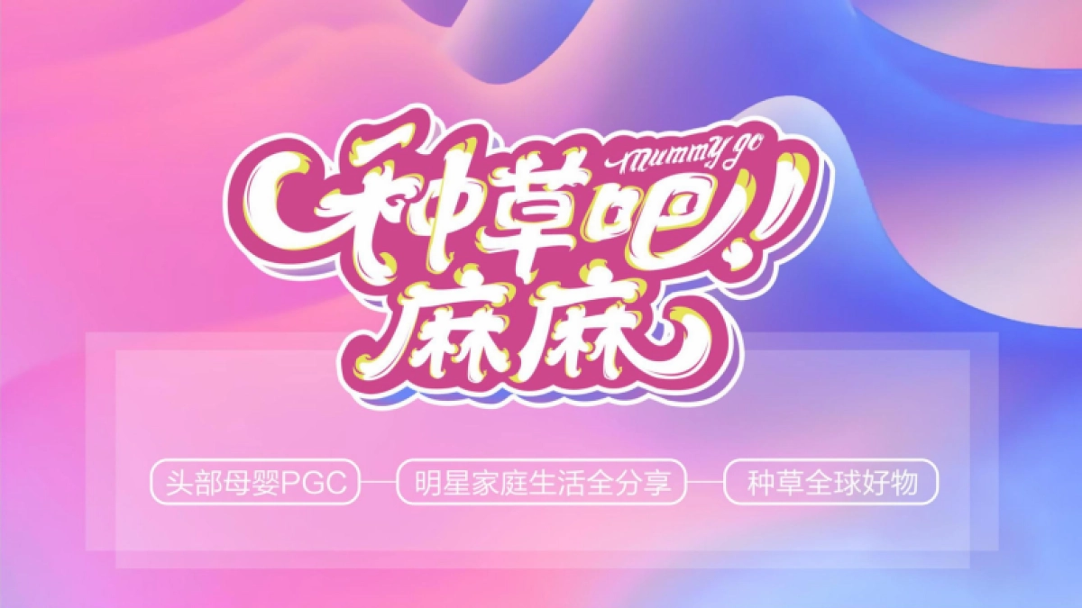 种草吧麻麻方案（商务版带价格）_第1页