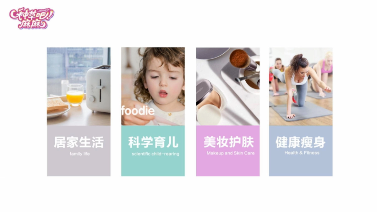 种草吧麻麻方案（商务版带价格）_第2页