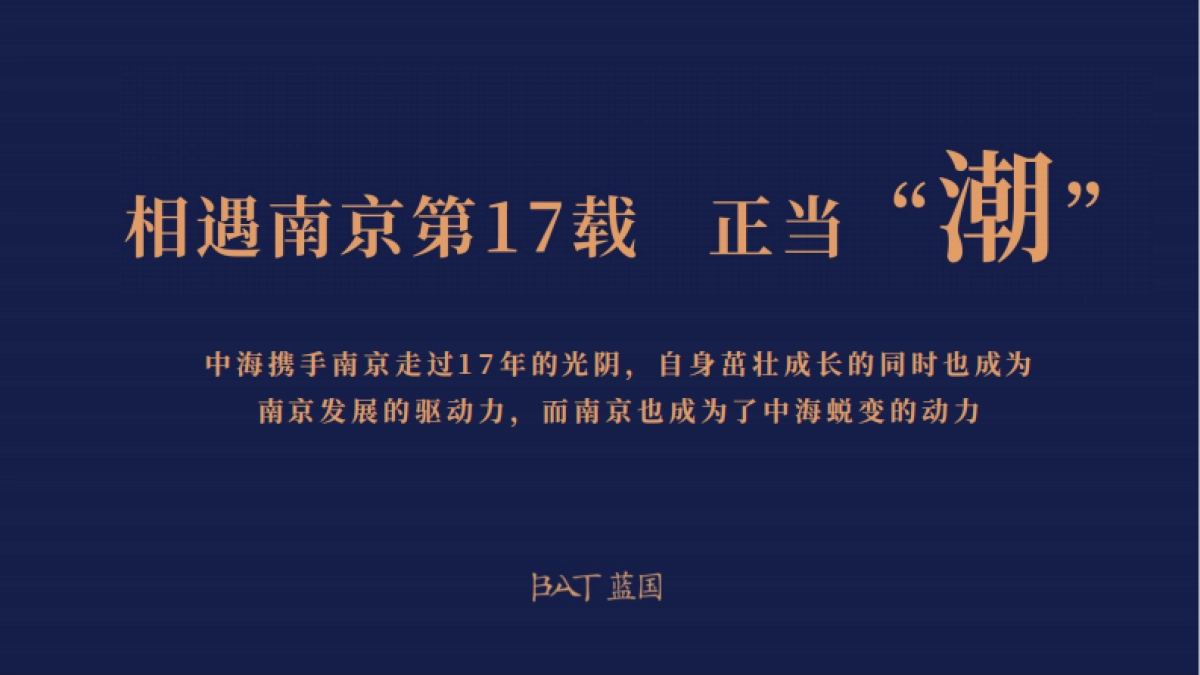南京中海2020年度品牌方案_第4页
