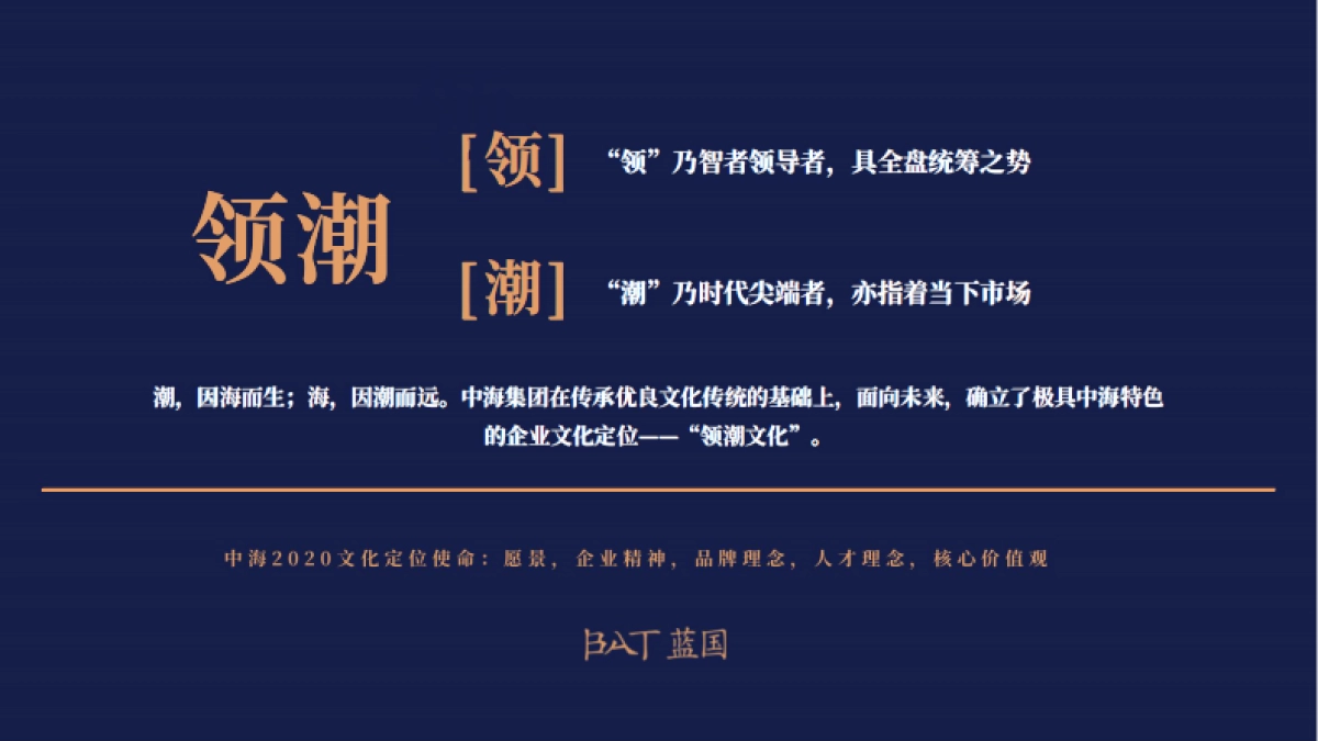 南京中海2020年度品牌方案_第8页