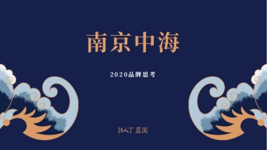 南京中海2020年度品牌方案