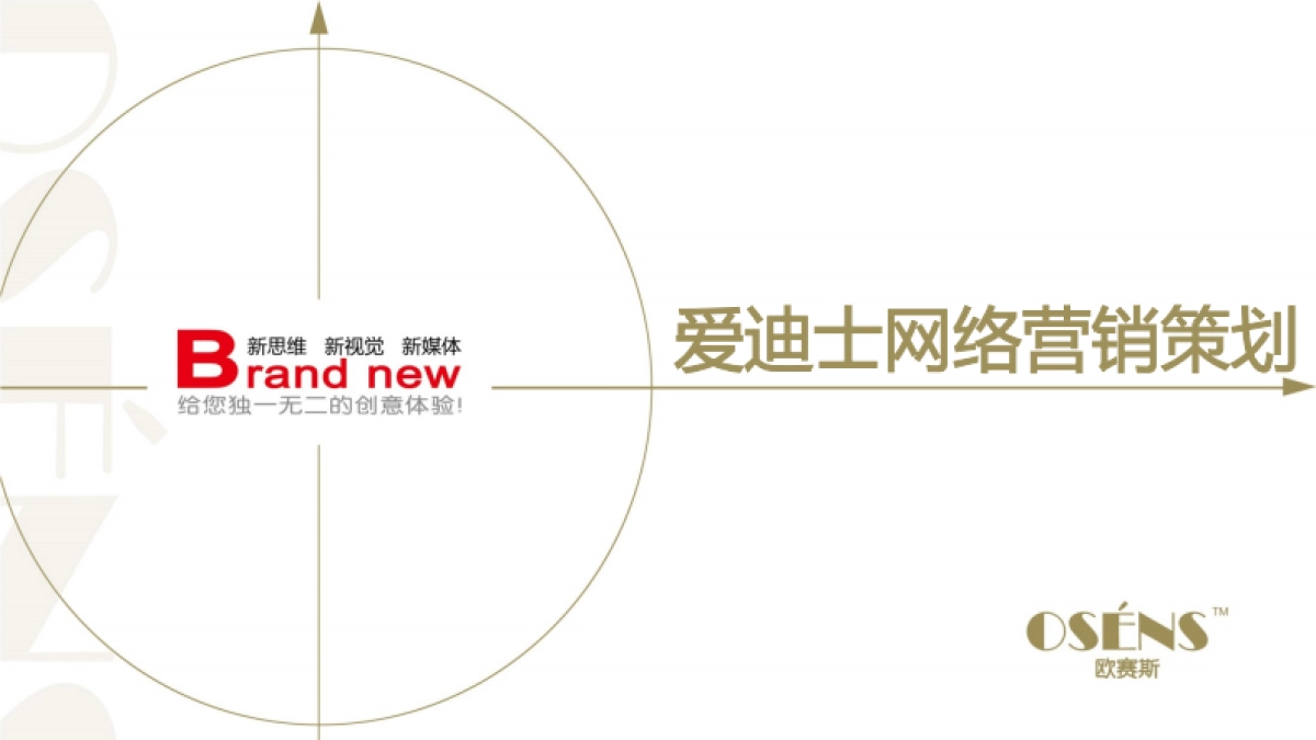 欧赛斯爱迪士网络整合营销策划方案_第1页