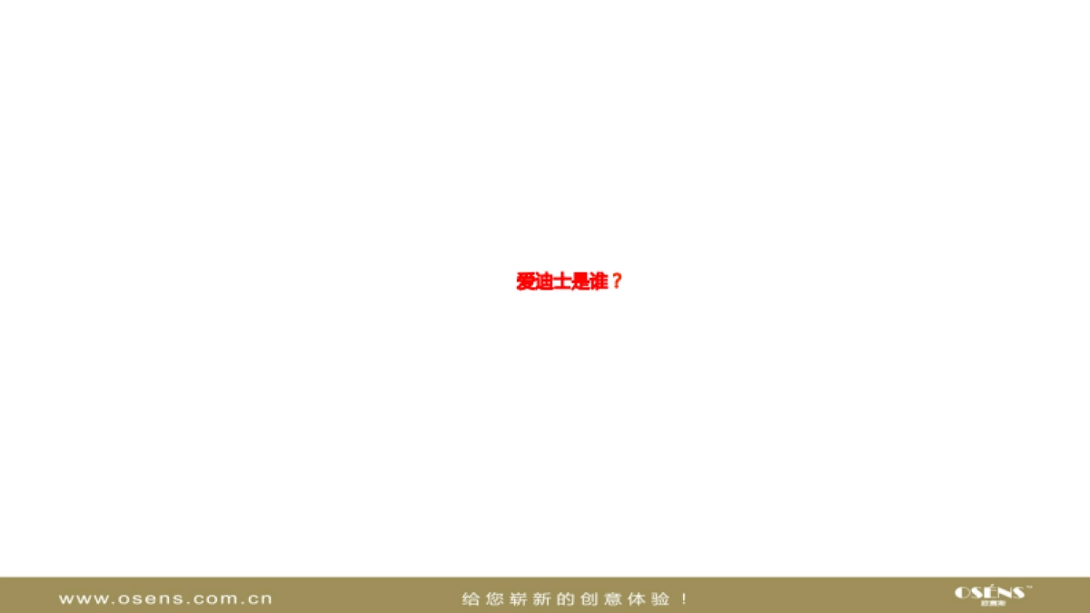 欧赛斯爱迪士网络整合营销策划方案_第2页