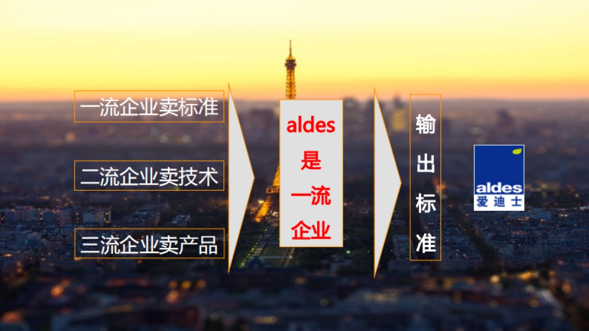 欧赛斯爱迪士网络整合营销策划方案_第3页