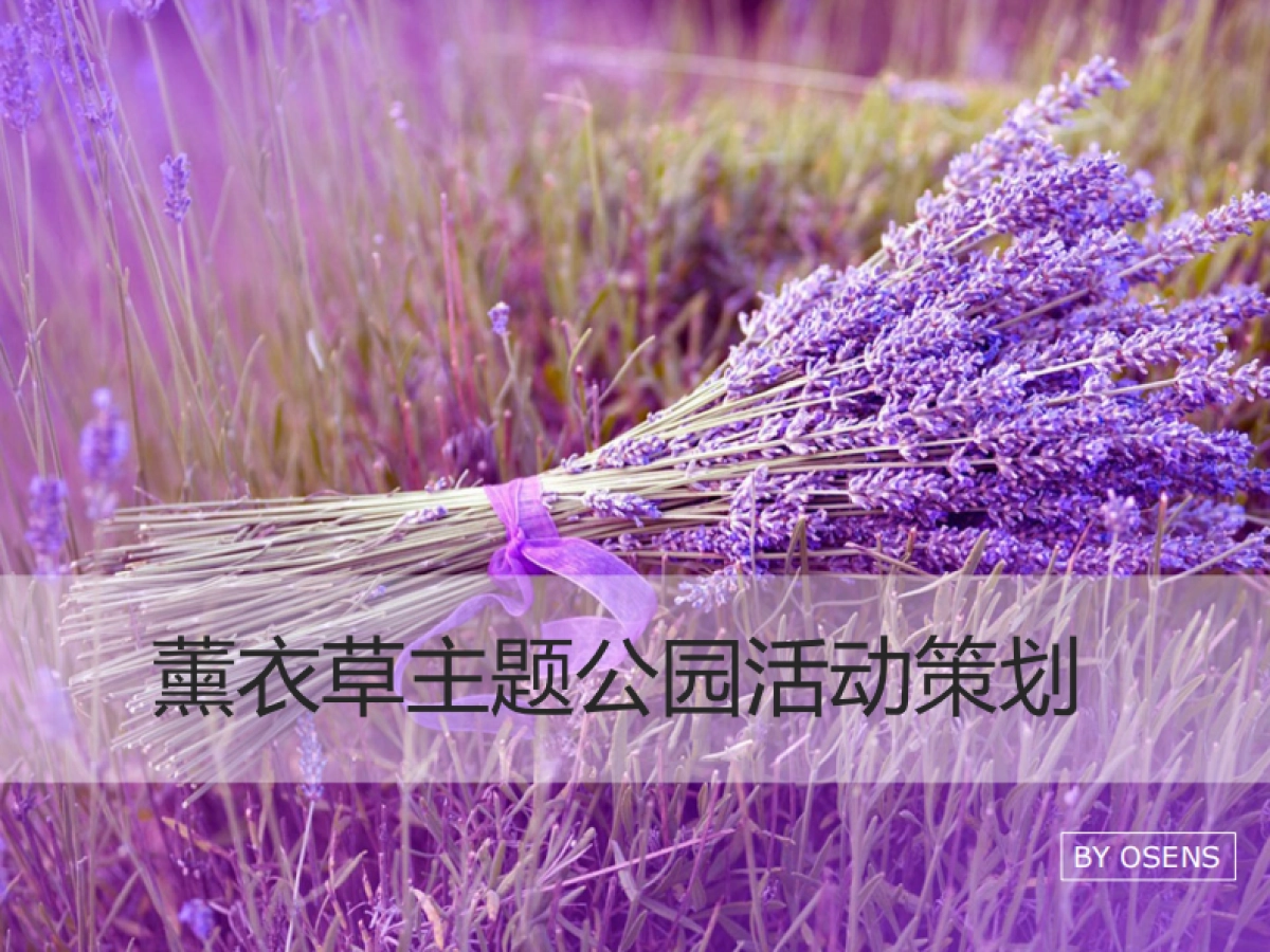 欧赛斯会佳紫海鹭缘郁金香主题公园新媒体整合营销策划方案_第2页