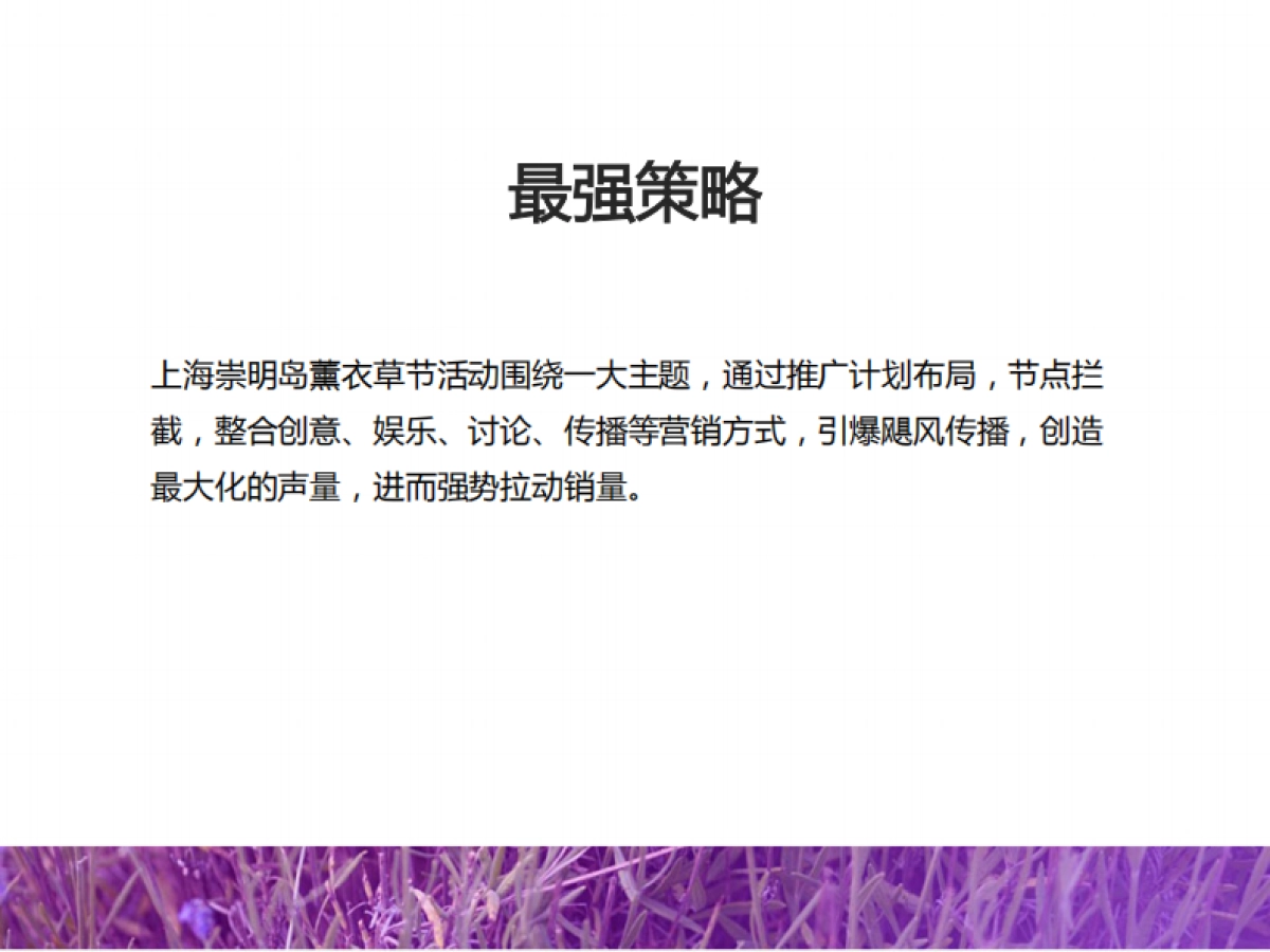 欧赛斯会佳紫海鹭缘郁金香主题公园新媒体整合营销策划方案_第5页