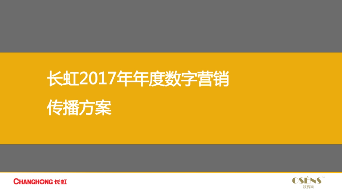 欧赛斯家电领导品牌长虹年度新媒体整合营销方案_第2页