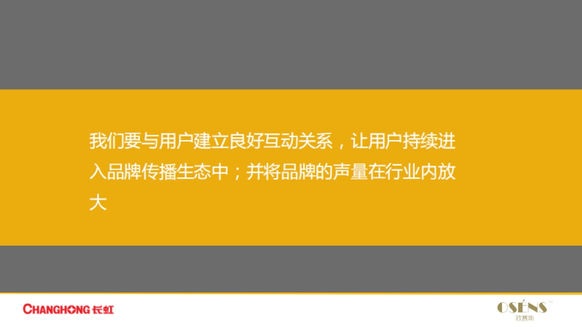 欧赛斯家电领导品牌长虹年度新媒体整合营销方案_第6页