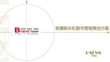 欧赛斯家电领导品牌长虹年度新媒体整合营销方案