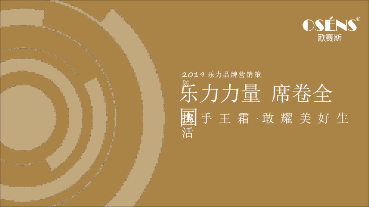 欧赛斯--品牌案例：乐力数字营销策略_第1页