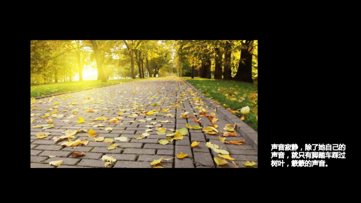 欧赛斯三大高级女装成衣品牌女装上市公司事件营销微电影策划创意方案_第6页