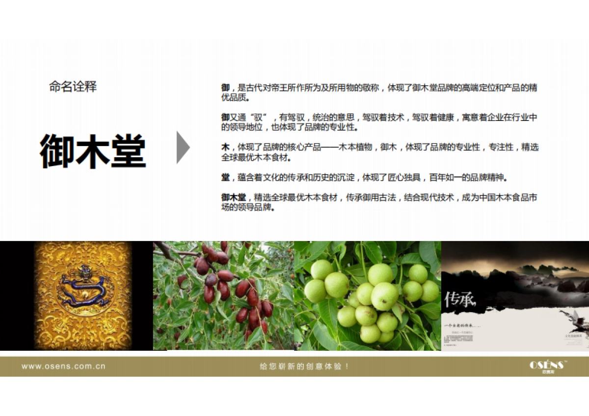 欧赛斯休闲食品新品牌产品发布命名诠释方案_第3页