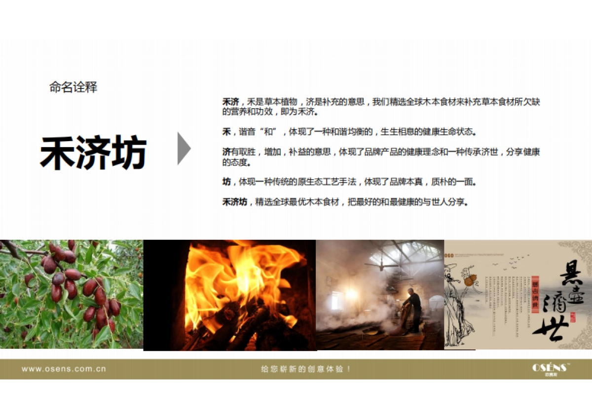 欧赛斯休闲食品新品牌产品发布命名诠释方案_第5页