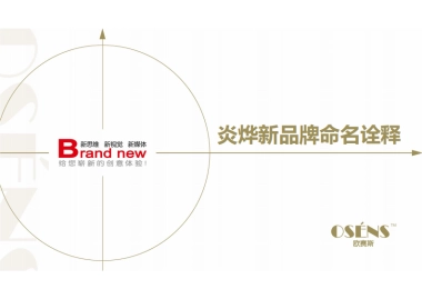 欧赛斯休闲食品新品牌产品发布命名诠释方案