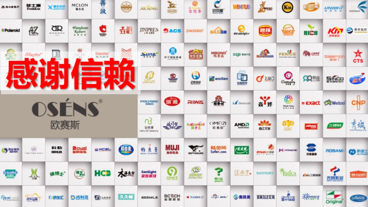 汽车后市场十大品牌整合营销策划方案_第4页