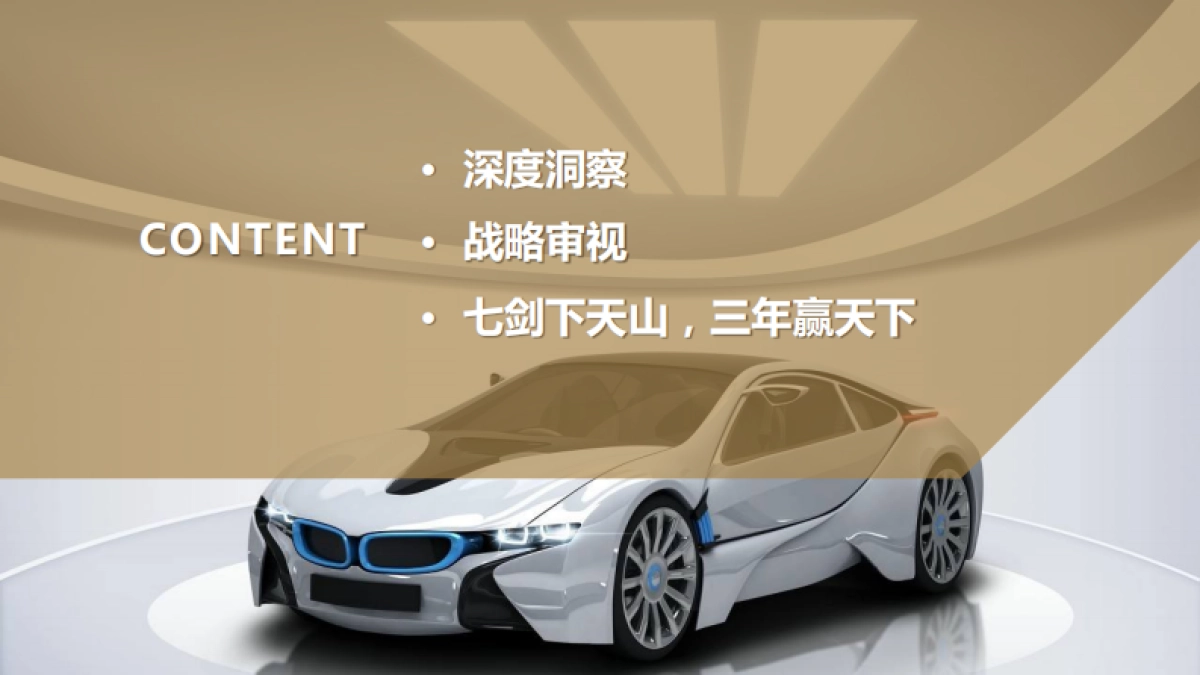 汽车后市场十大品牌整合营销策划方案_第5页