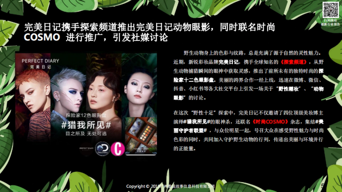 如何打造品牌爆款：以完美日记动物眼影为例_第5页