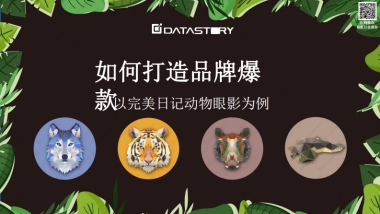 如何打造品牌爆款：以完美日记动物眼影为例