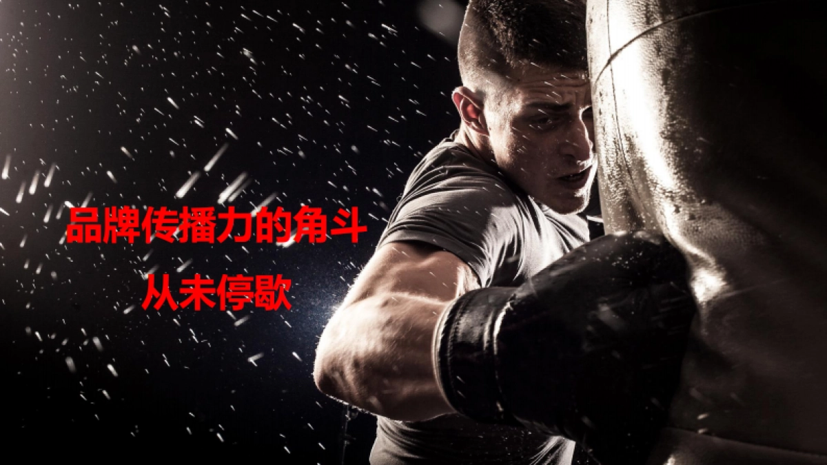 索尼耳机年度品牌提升方案_第10页