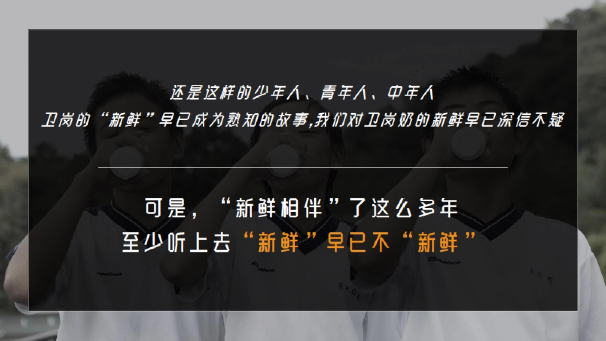 卫岗乳业品牌定位及核心单品传播推广方案_第5页