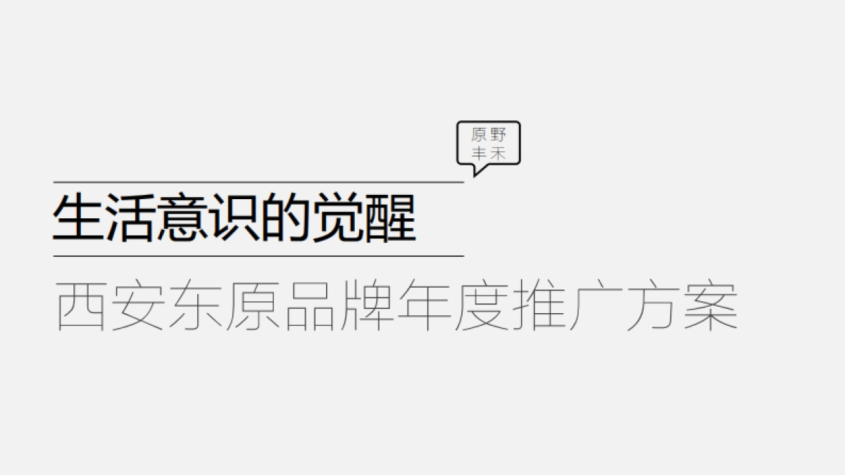 西安东原品牌年度推广方案_第1页
