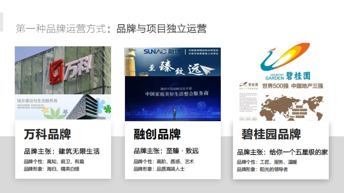 西安东原品牌年度推广方案_第6页