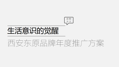 西安东原品牌年度推广方案