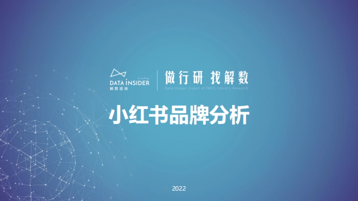 小红书品牌分析_第1页