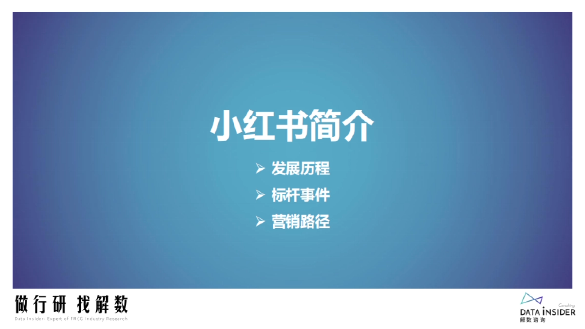 小红书品牌分析_第9页