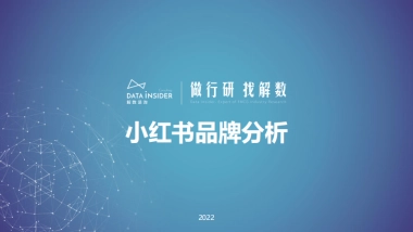 小红书品牌分析