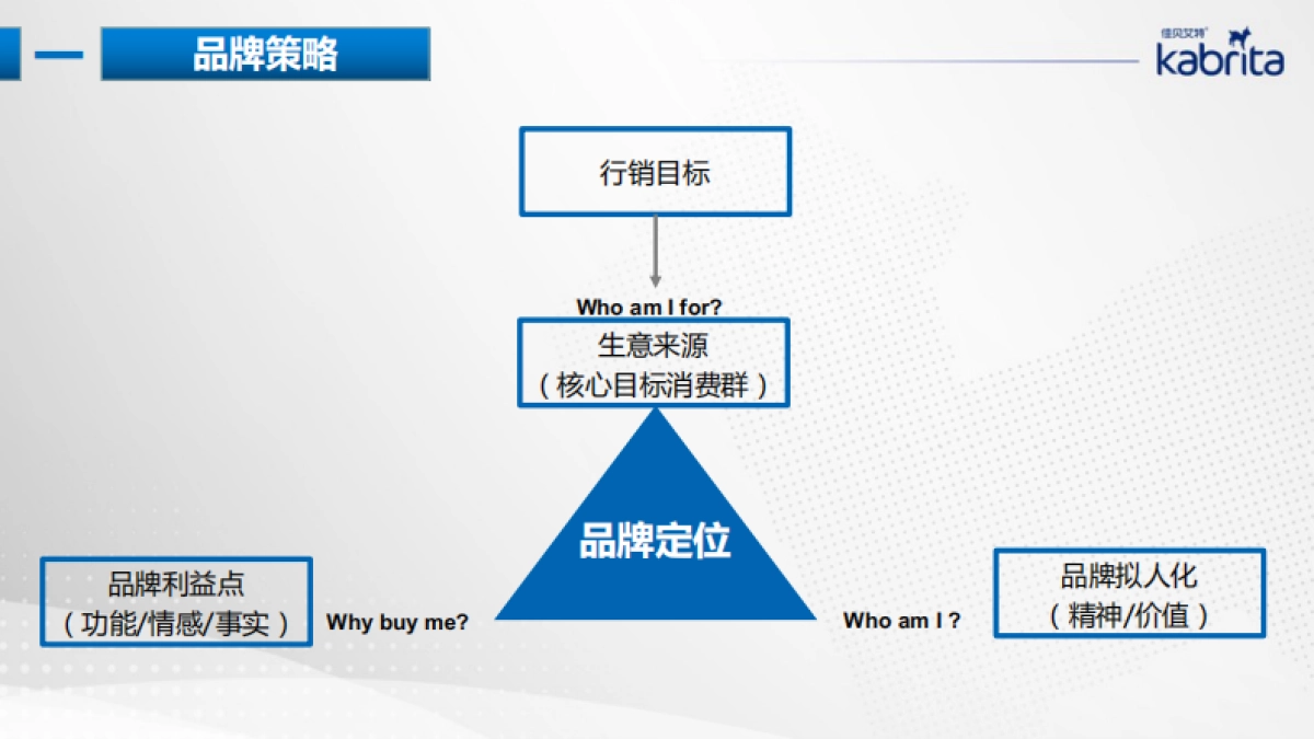 营嘉品牌传播策略梳理_第2页