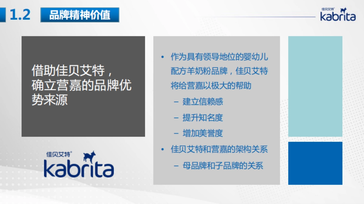 营嘉品牌传播策略梳理_第8页