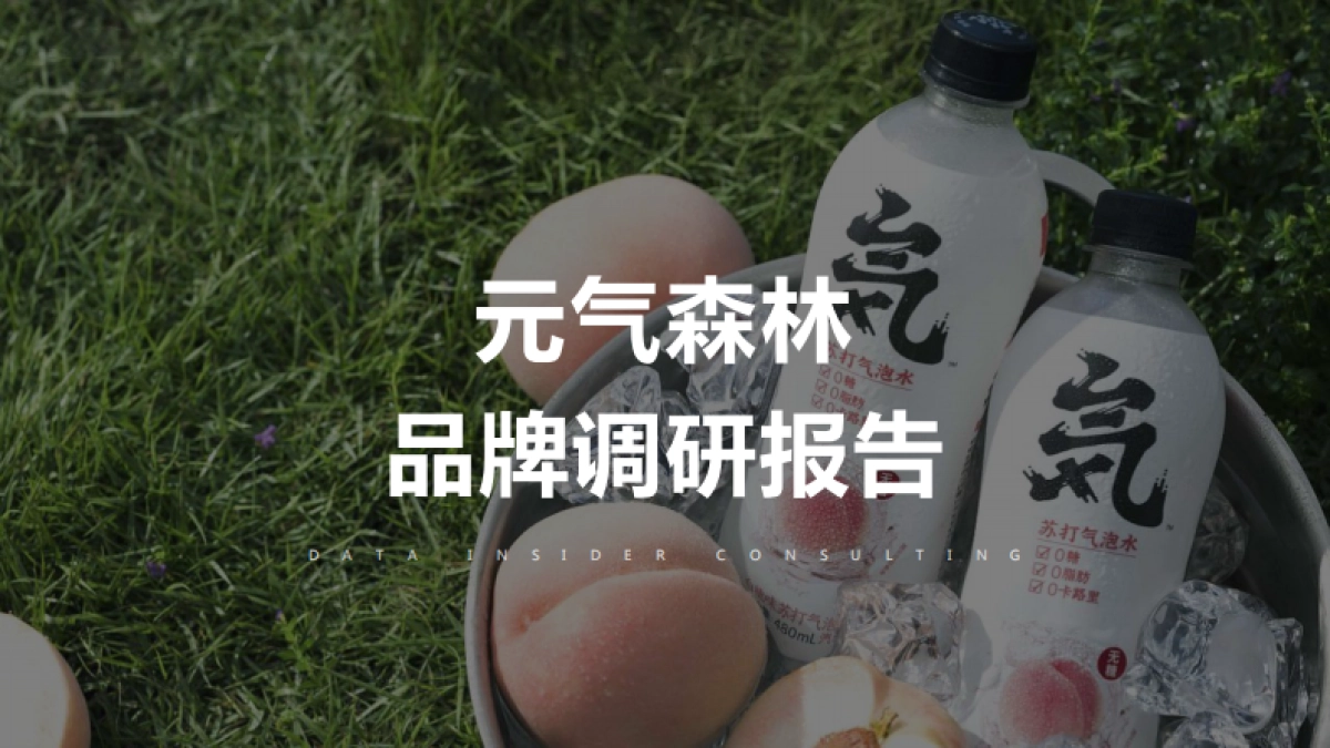 元气森林品牌调研报告_第1页