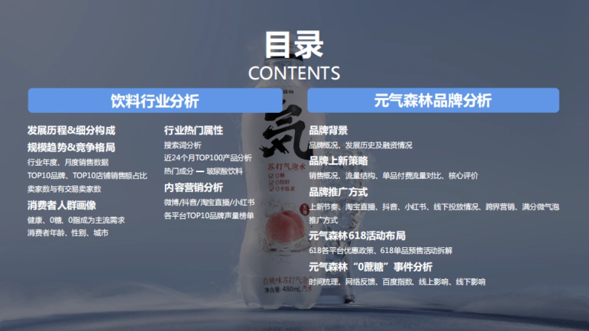 元气森林品牌调研报告_第2页