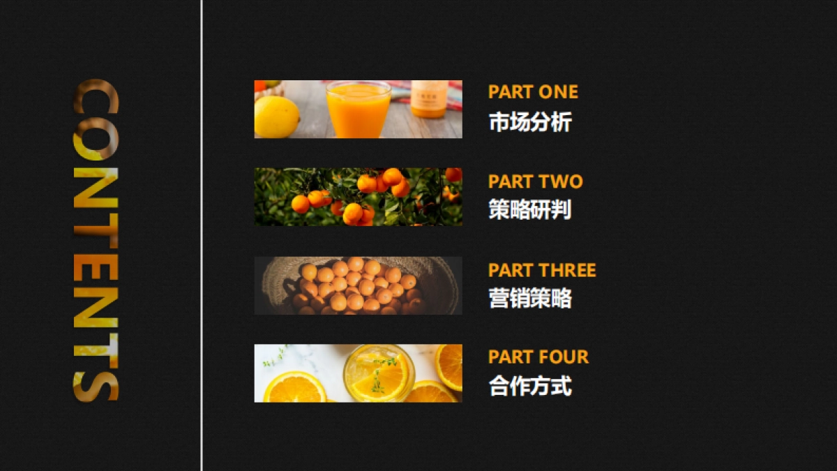 派森百市场营销策略方案（终板）_第2页