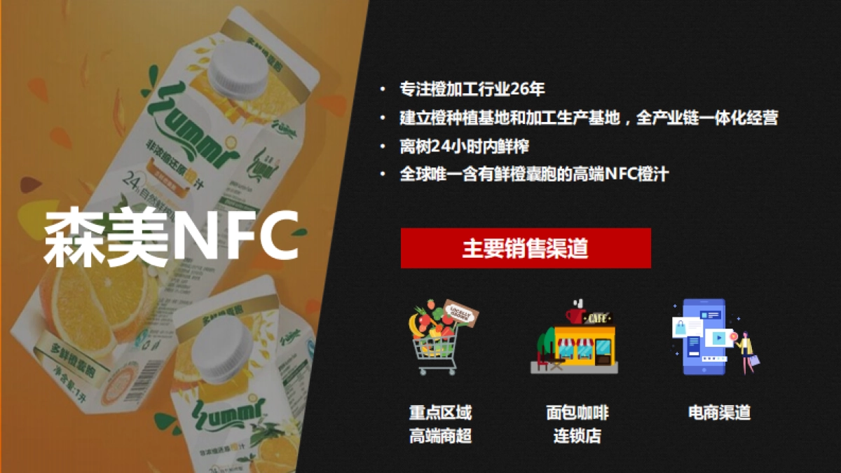 派森百市场营销策略方案（终板）_第8页