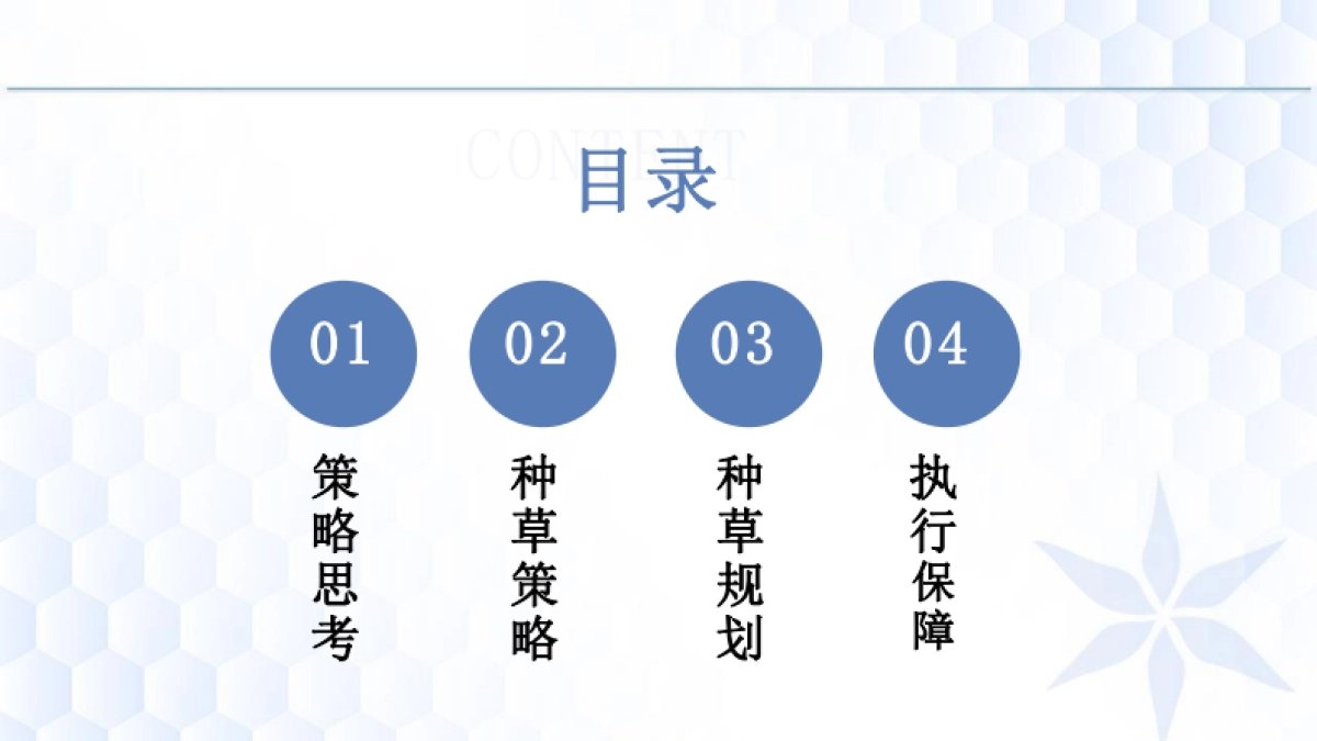 欧玛小红书推广方案_第2页