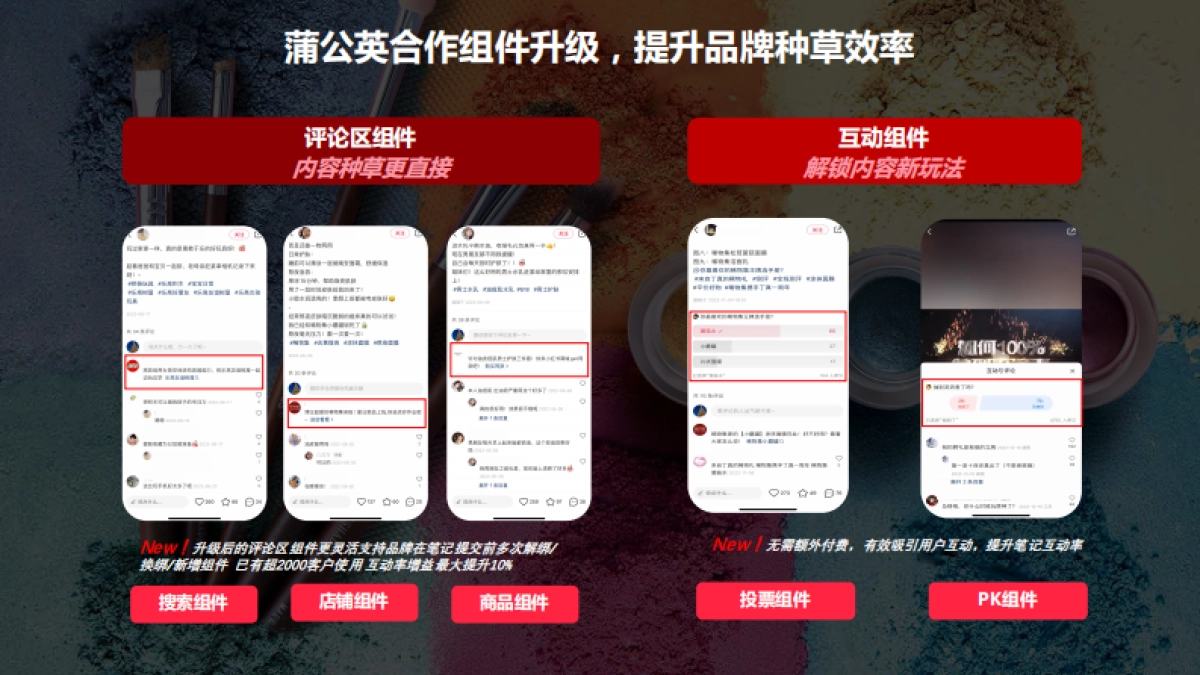 蒲公英彩妆行业投放指南更新时间_第10页