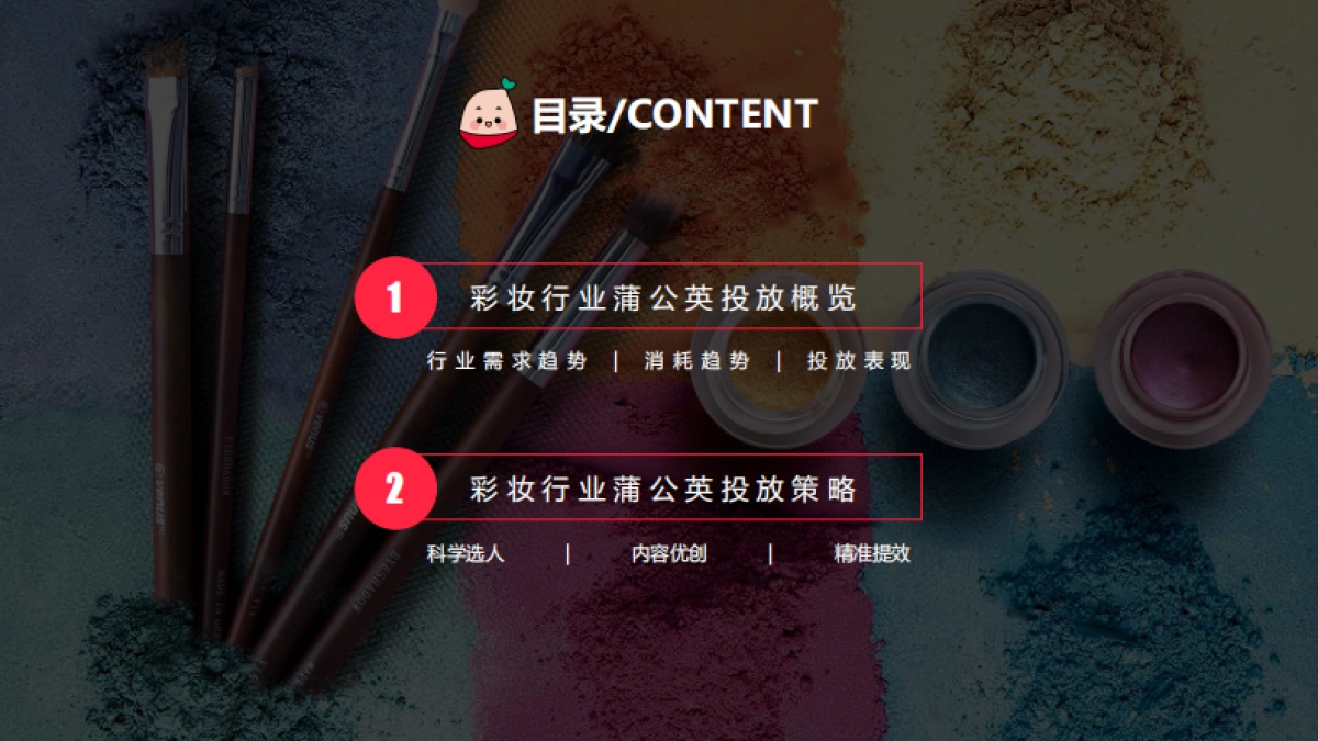 蒲公英彩妆行业投放指南更新时间_第2页