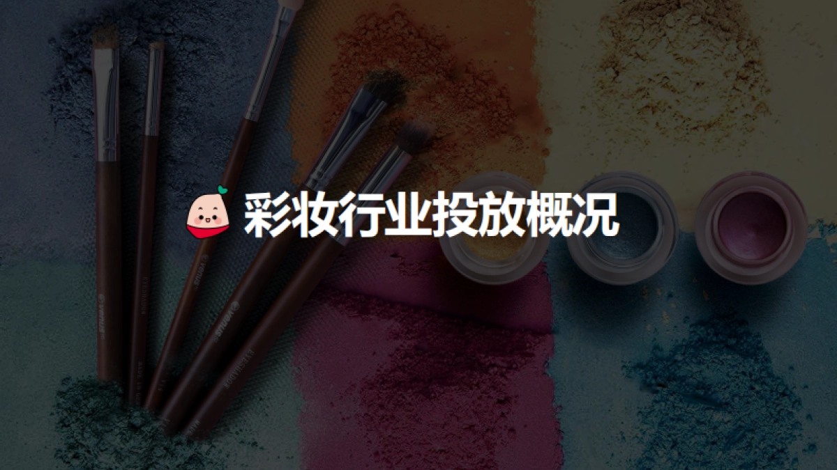 蒲公英彩妆行业投放指南更新时间_第3页