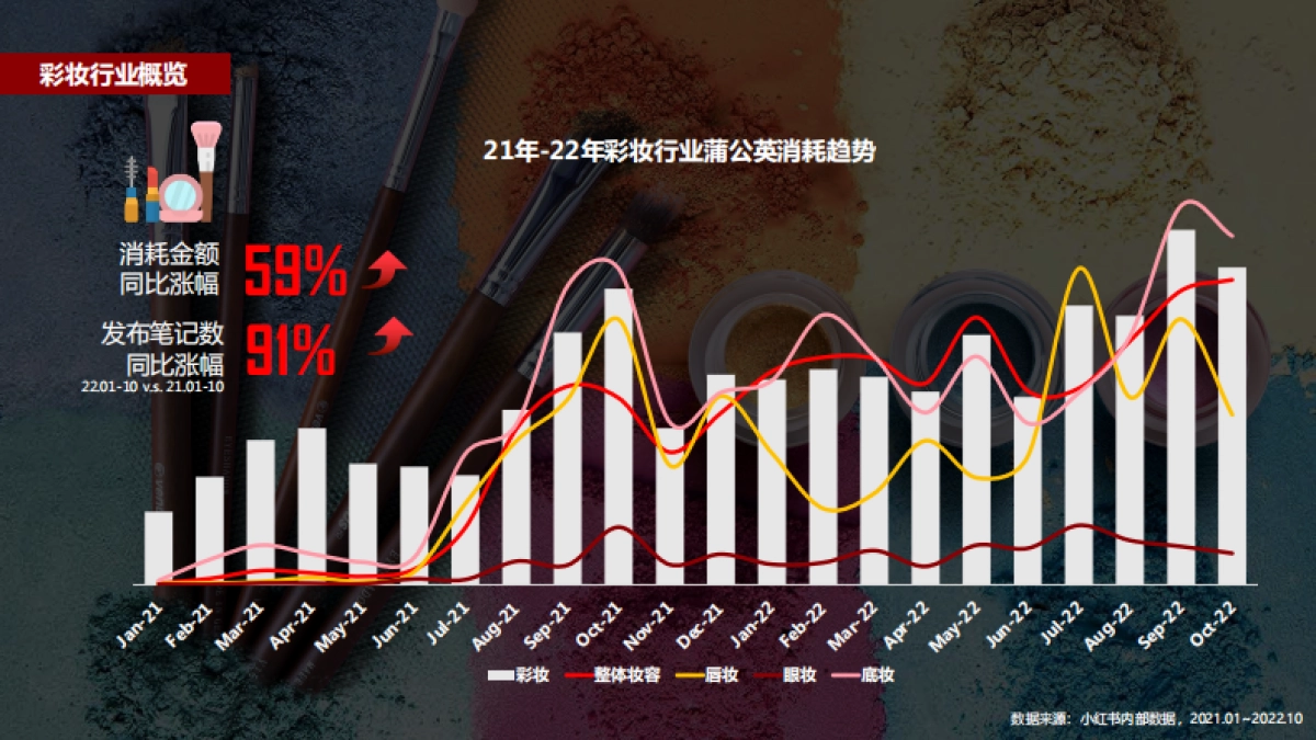 蒲公英彩妆行业投放指南更新时间_第5页
