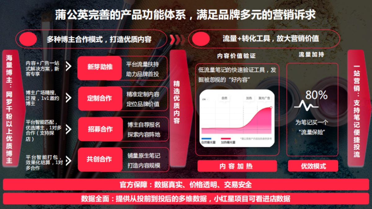 蒲公英彩妆行业投放指南更新时间_第9页